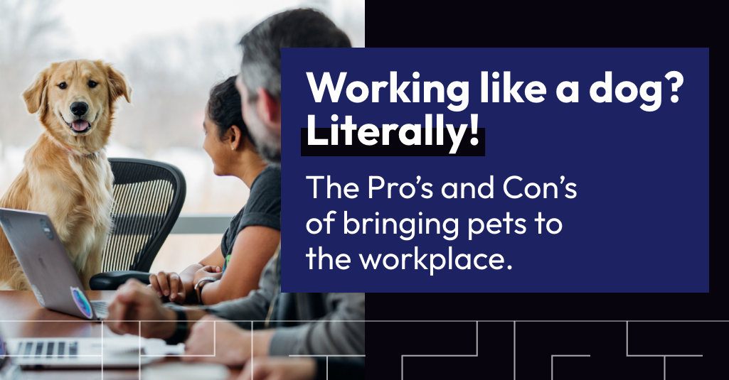 Working like a dog? Literally! The Pro’s and Con’s of bringing pets to the workplace
