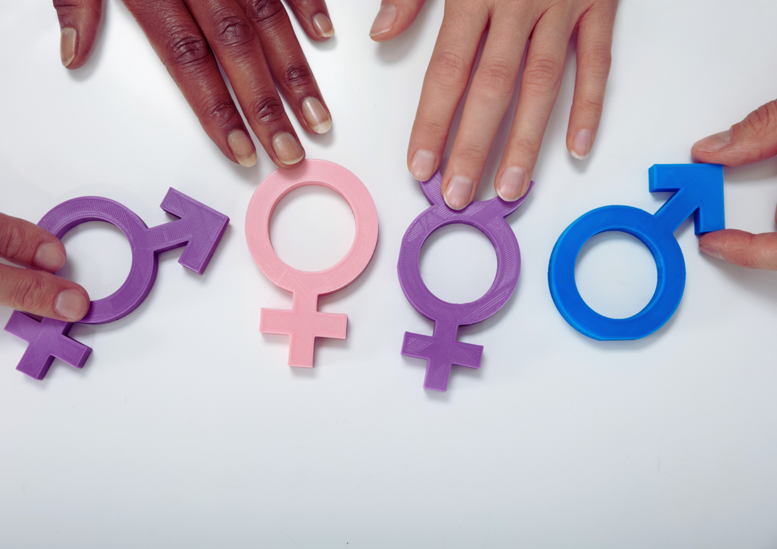 Gender Identity in the Workplace MLP Law